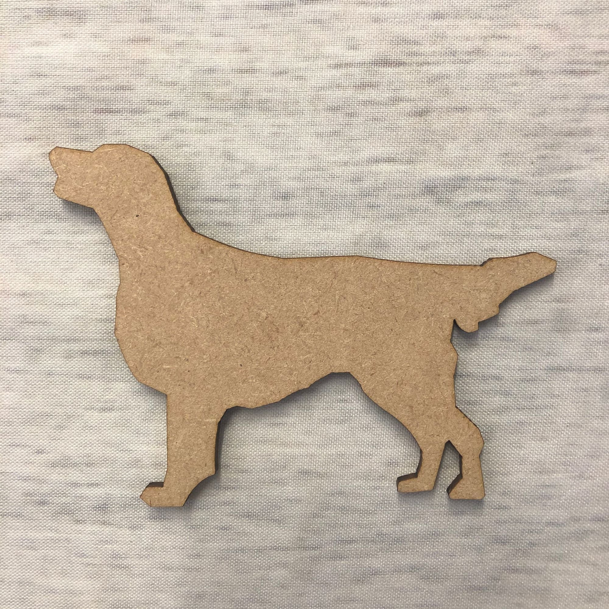 Dog  - Labrador Golden retriever 2