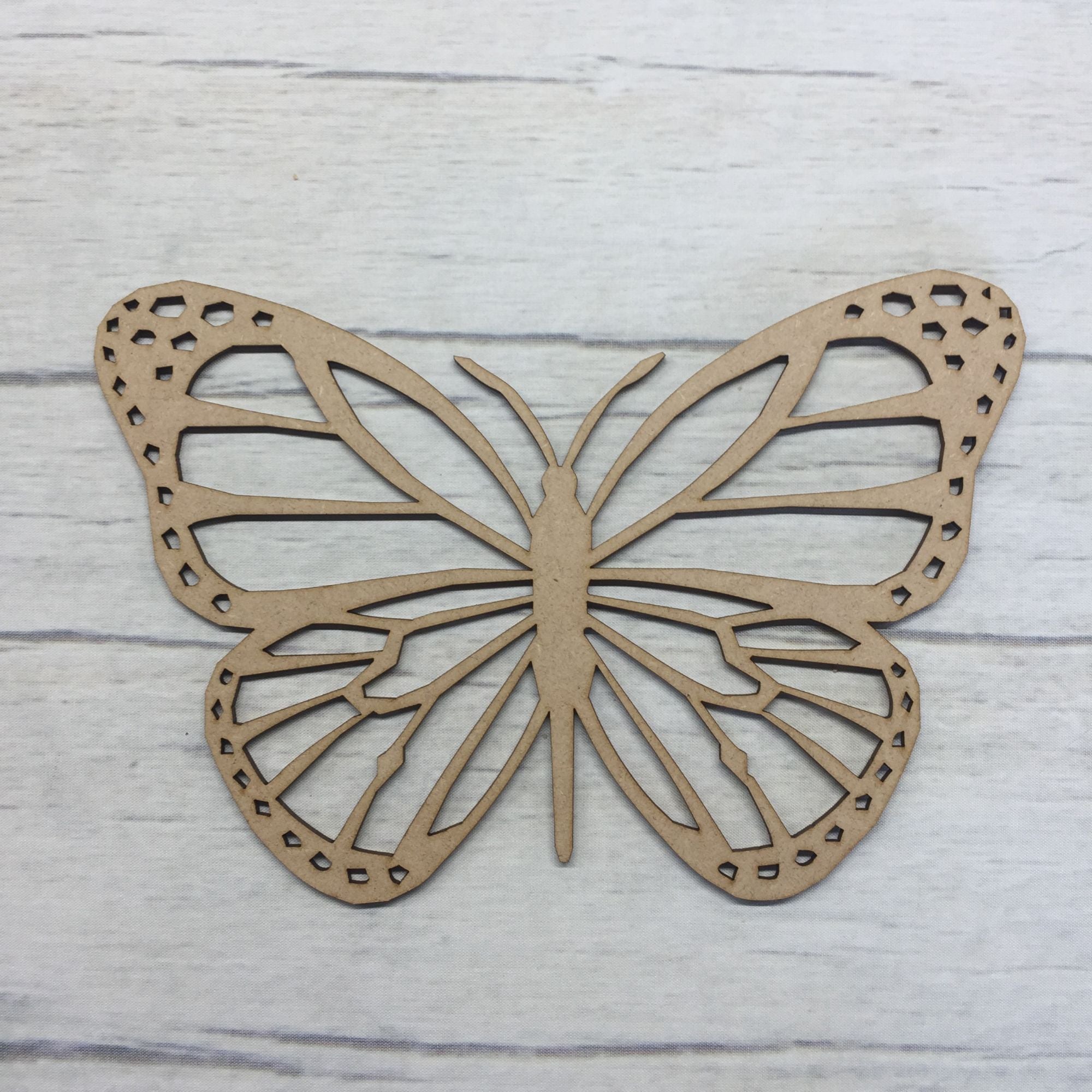 Butterfly  -  Detailed 1