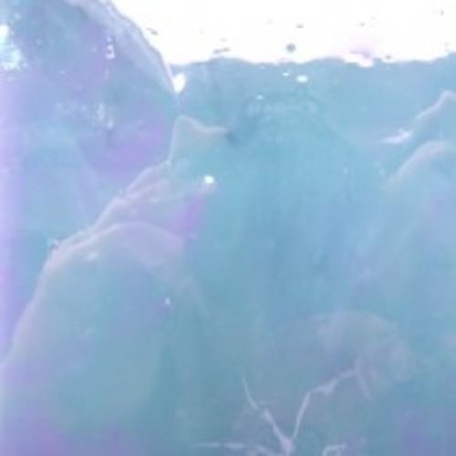 Chinese Glass - MY29 Bluestar - DISCONTINUED - Sheet