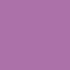 Cinca 19.5cm² - Purpura
