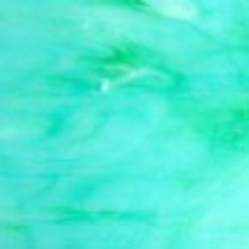 Chinese Glass - MG104 Parrotfish - 1/4 Sheet