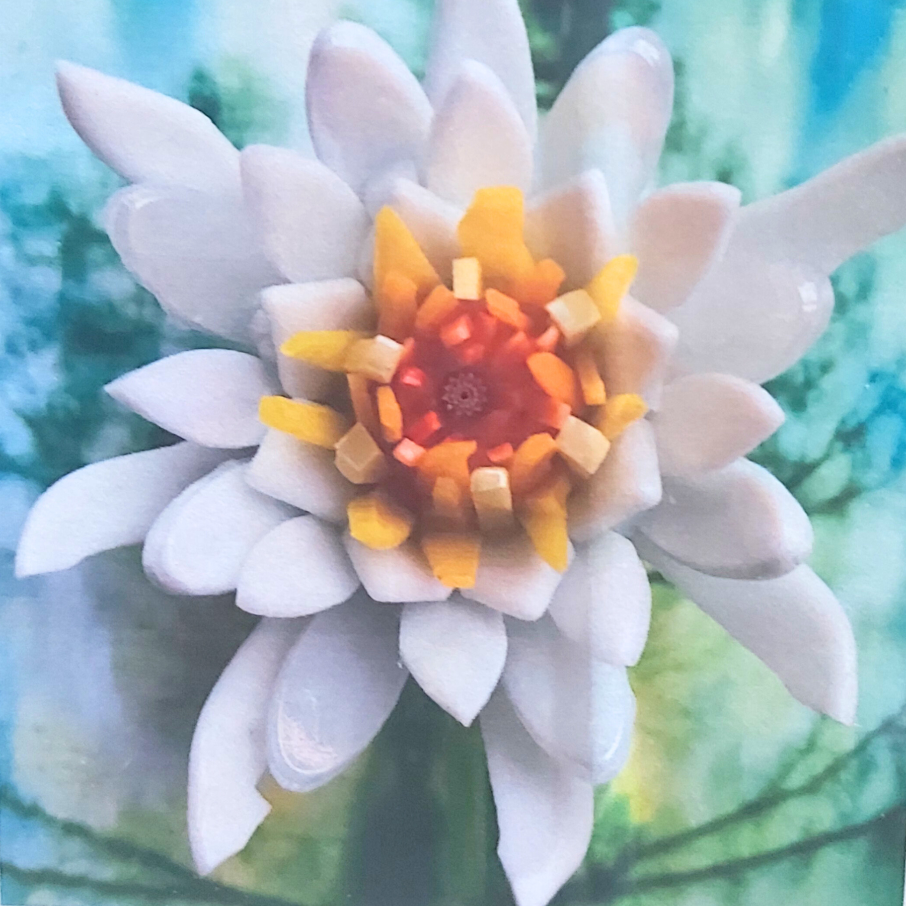 Kit - Lotus Flower: White