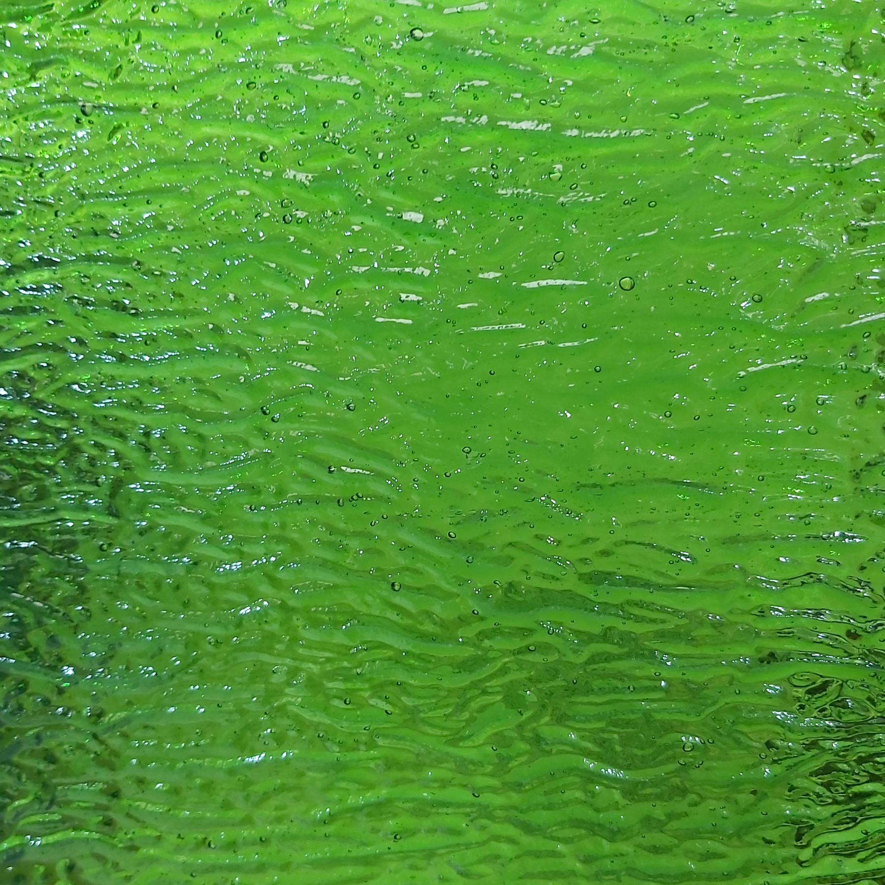 Chinese Glass - MT03 Clear Acid Green - Sheet