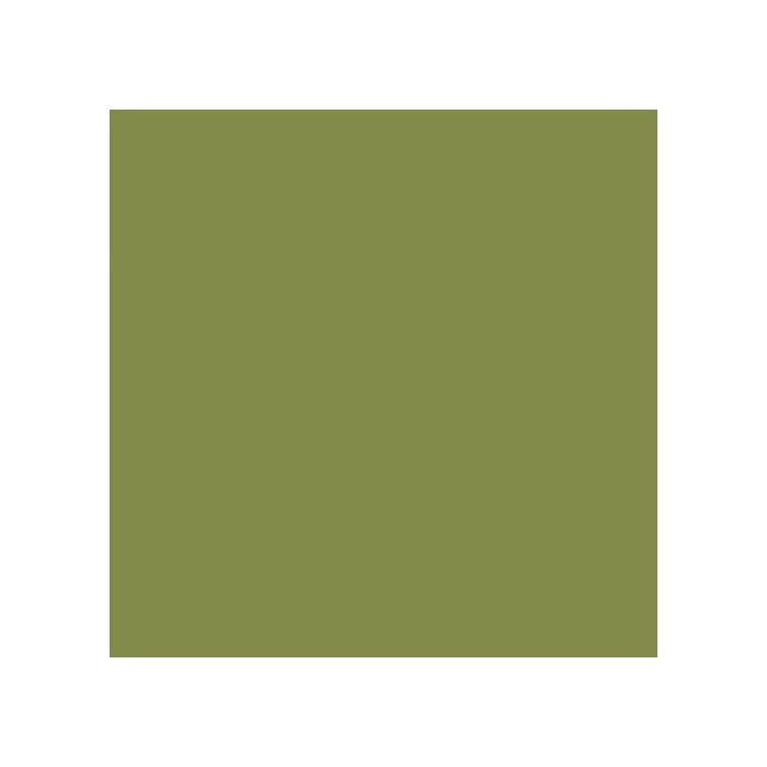 10cm Cesi - Avocado- Matt