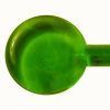 Effetre Glass Rods - Clear Green
