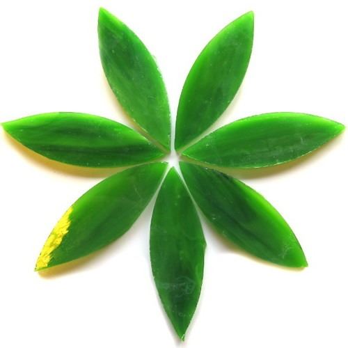 Large Tiffany Petals Spanish Moss — Hobby Island UK