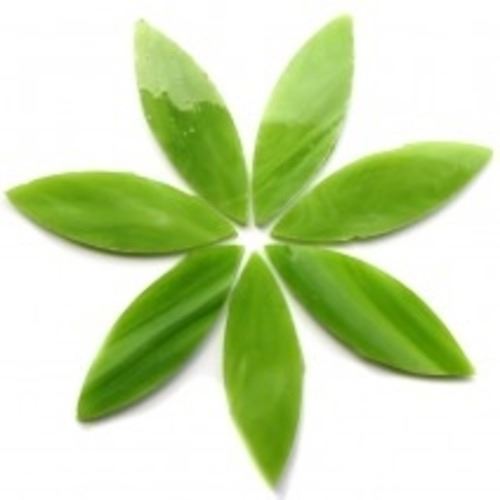Large Tiffany Petals - Green Tea