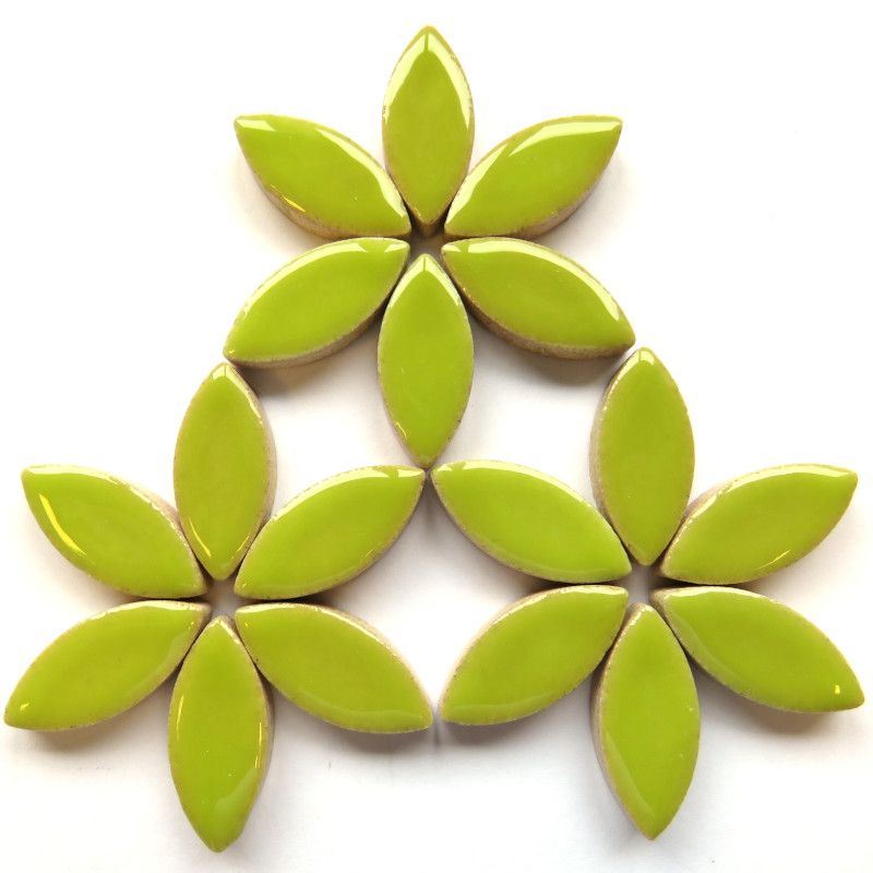 25mm Ceramic Petal - Kiwi